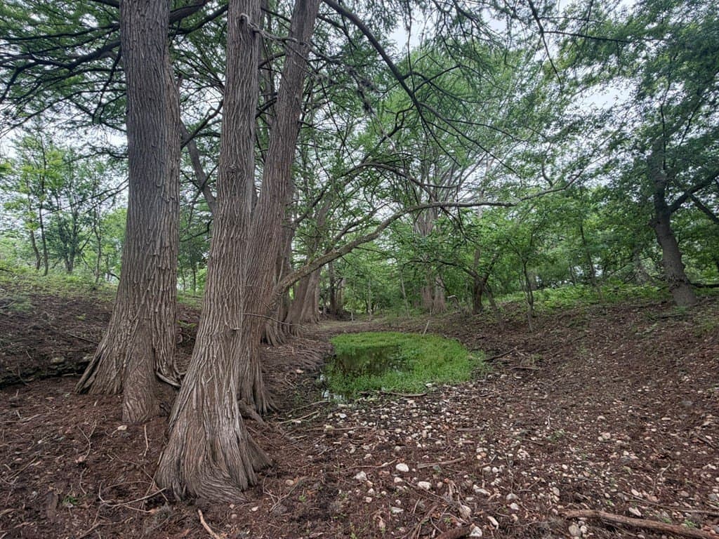 1.58 acres in Real County - photo 7