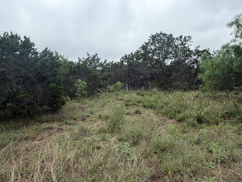 1.58 acres in Real County - photo 10