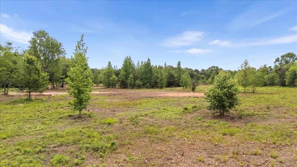 3.59 acres in Texas County - photo 9