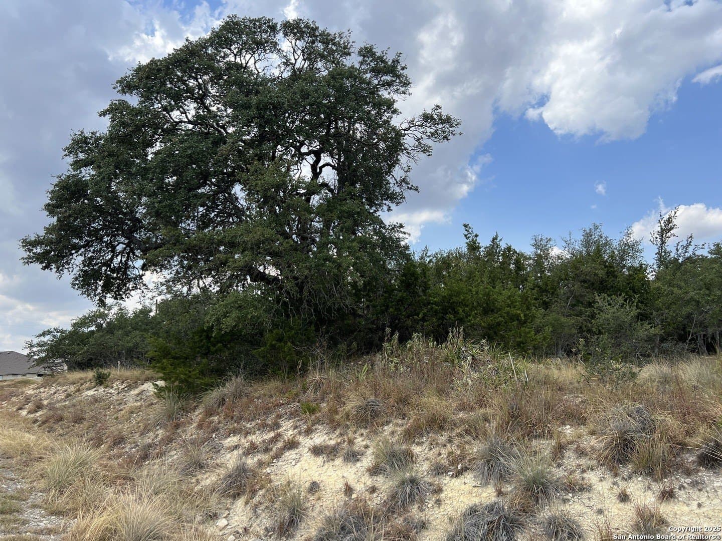 0.16 acres in Blanco County gallery image 3