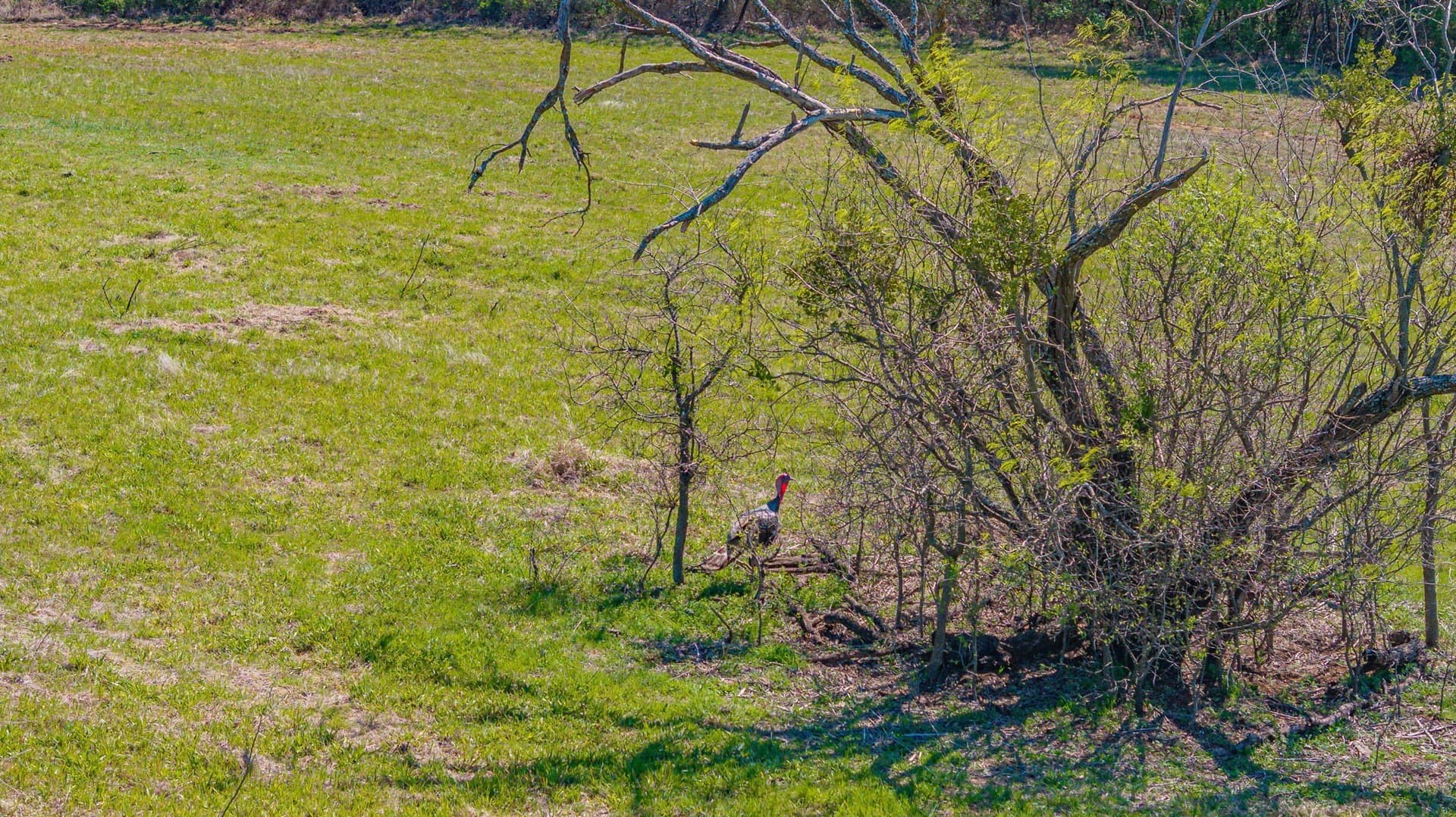 109.59 acres in Erath County - photo 33