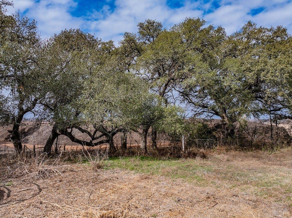 20 acres in Fayette County gallery image 3