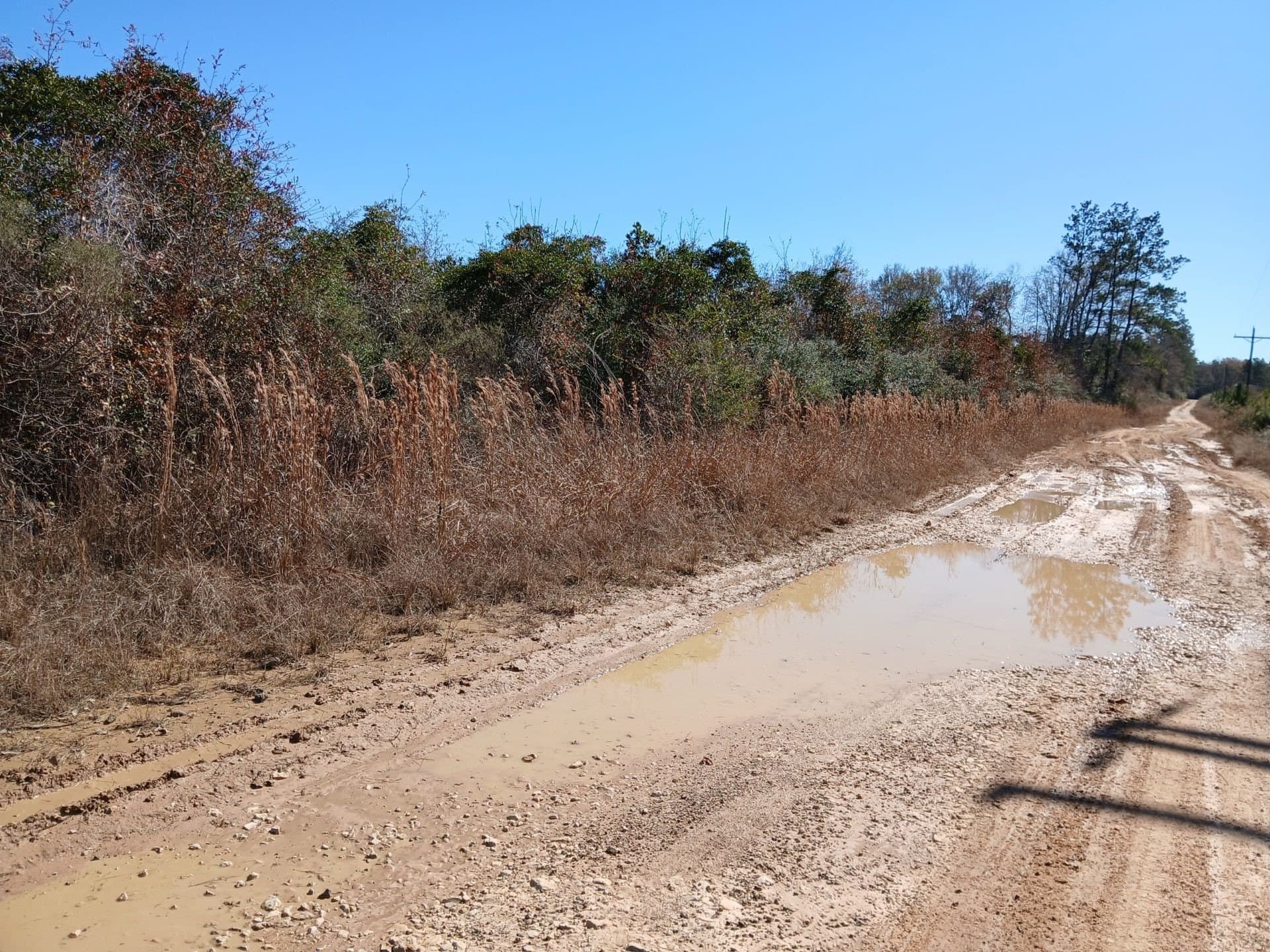 10 acres in Hardin County gallery image 2