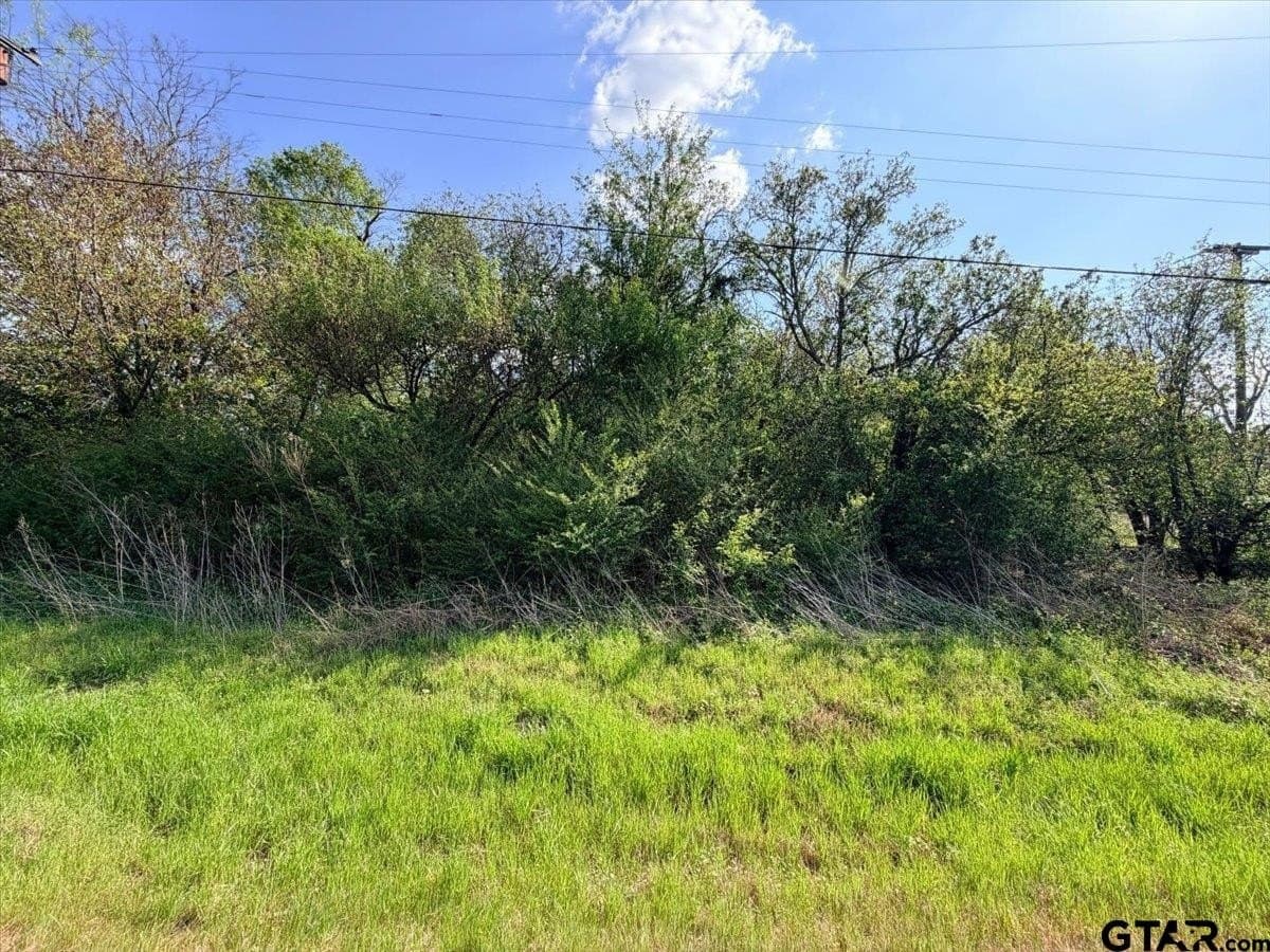 2.03 acres in Smith County gallery image 3