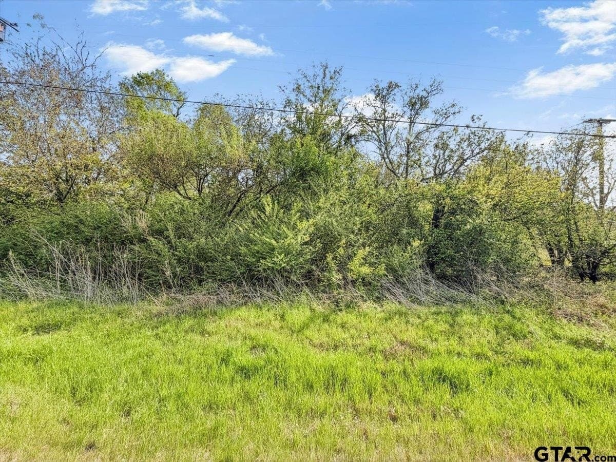 2.03 acres in Smith County gallery image 2