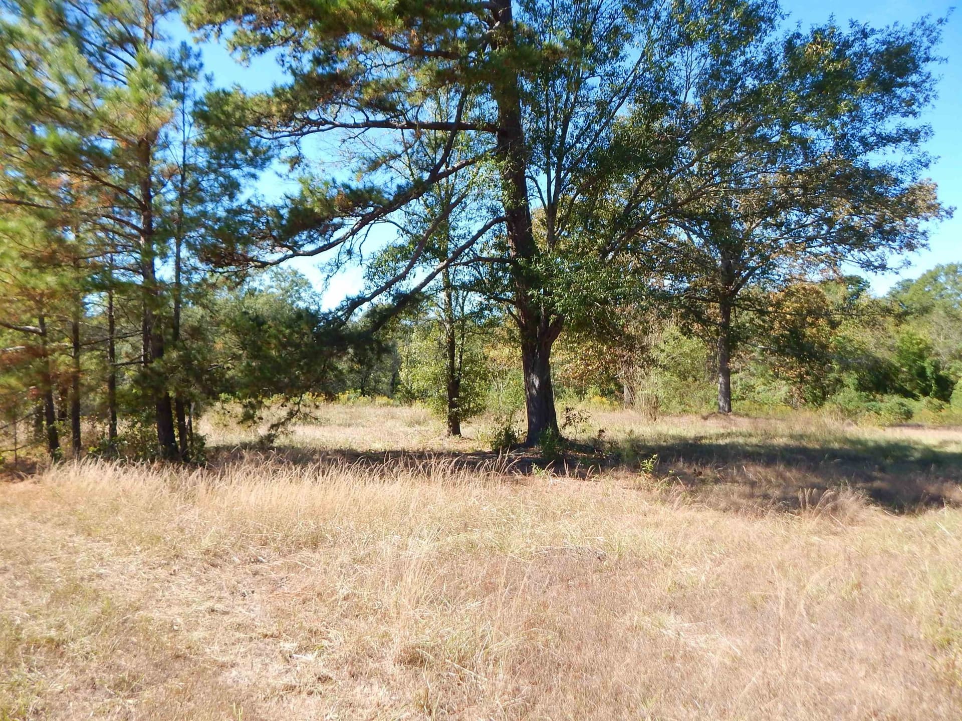 3.5 acres in Upshur County - photo 6