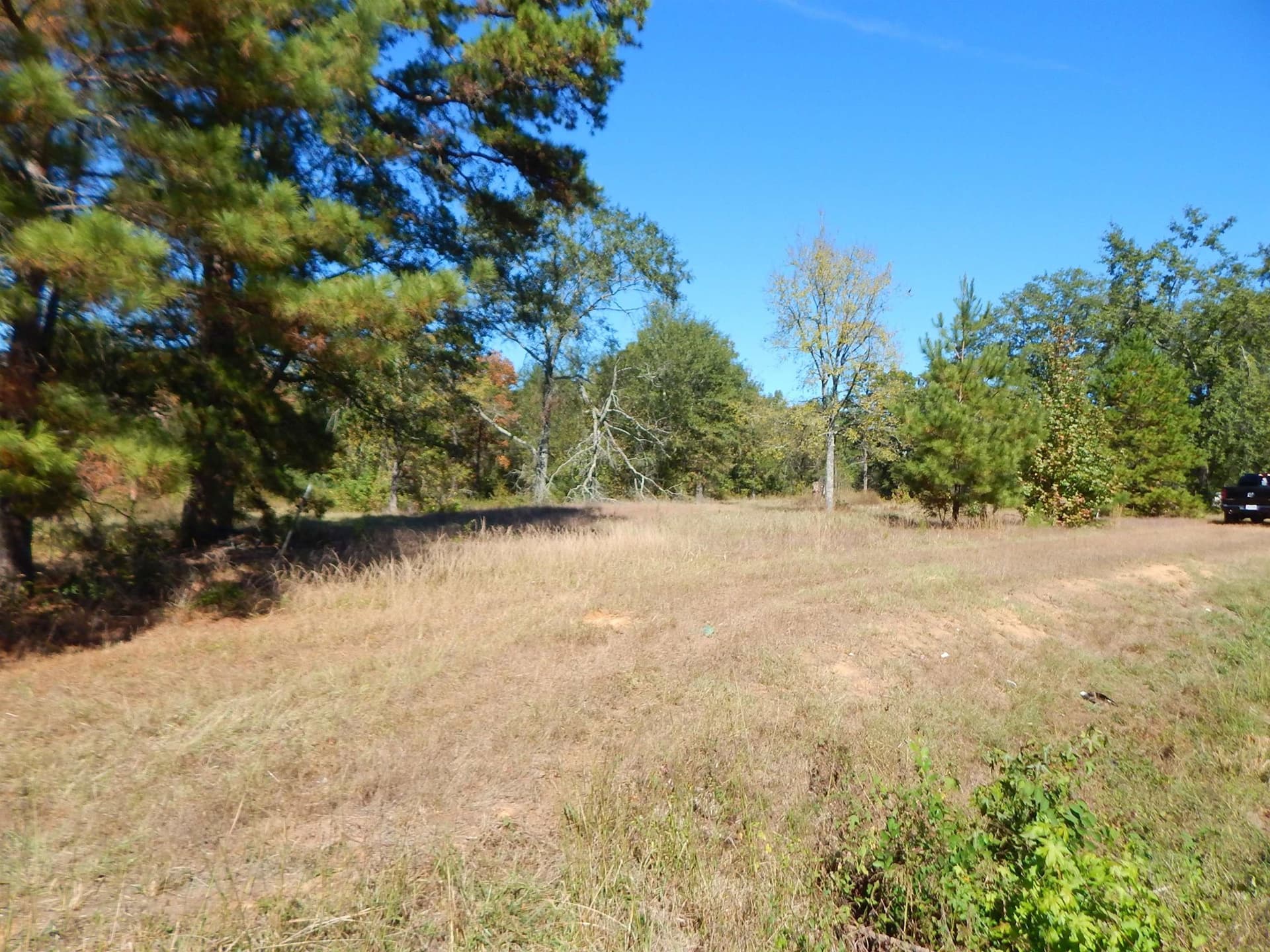 3.5 acres in Upshur County - photo 9