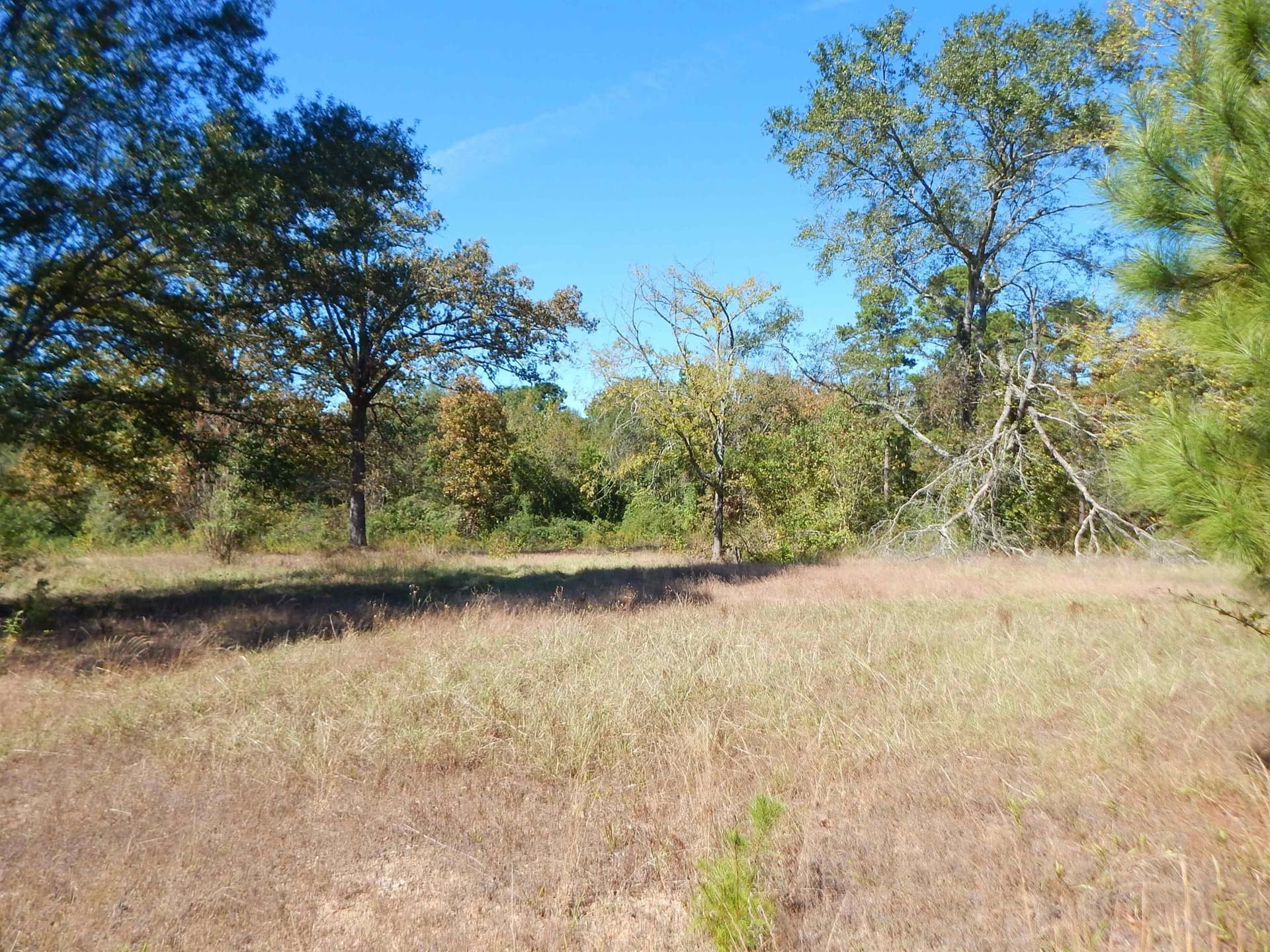 3.5 acres in Upshur County featured view