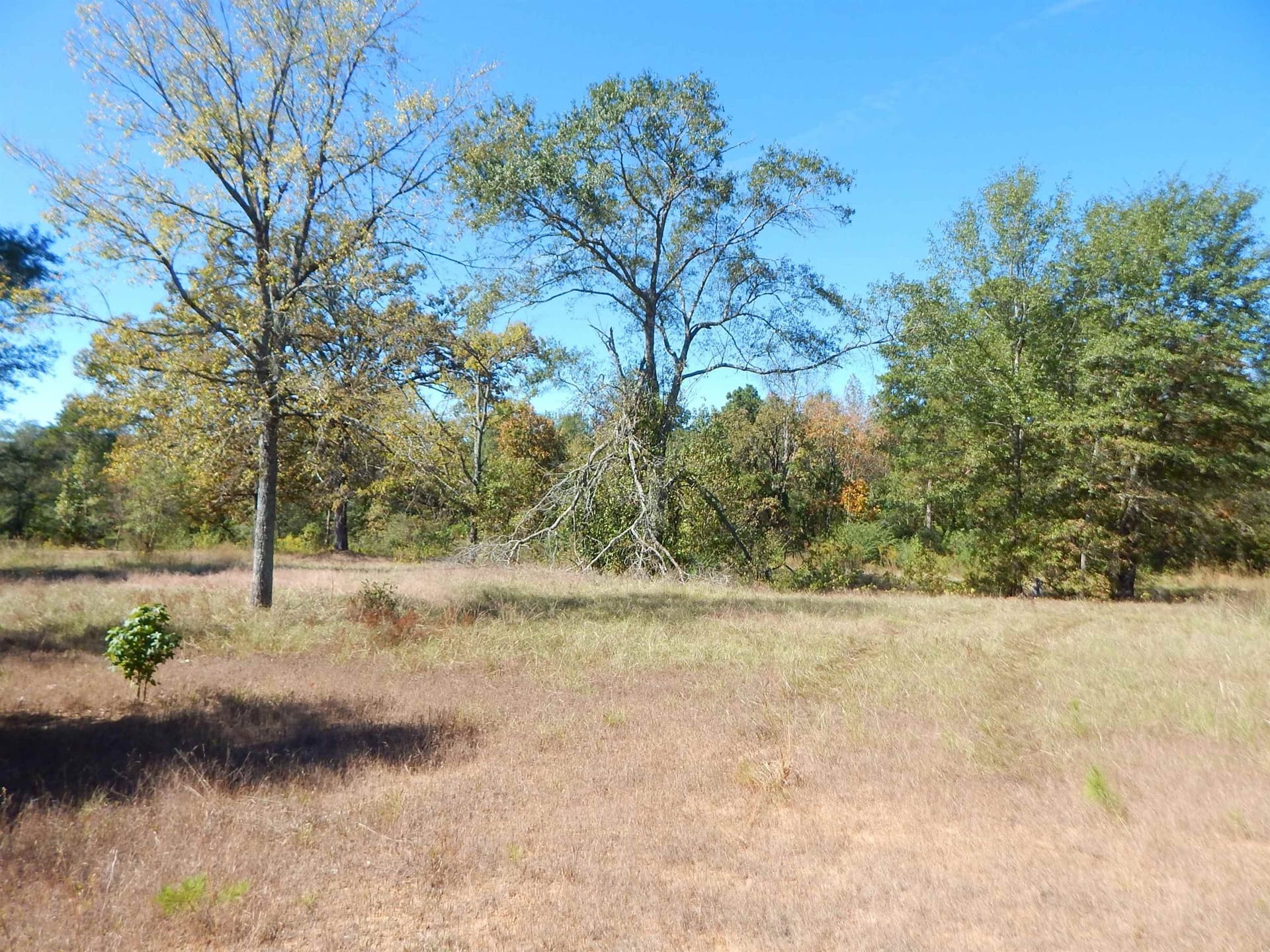 3.5 acres in Upshur County gallery image 3