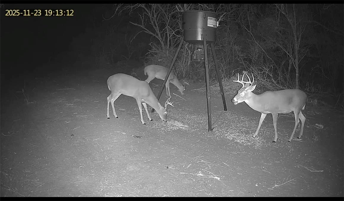 27 acres in Duval County - photo 5