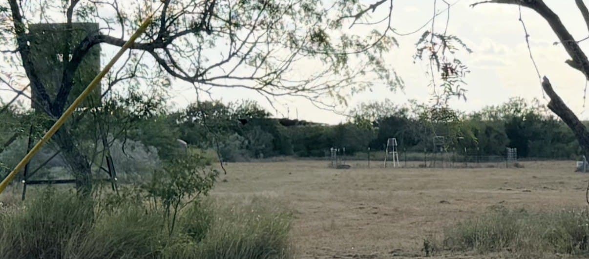 27 acres in Duval County - photo 14