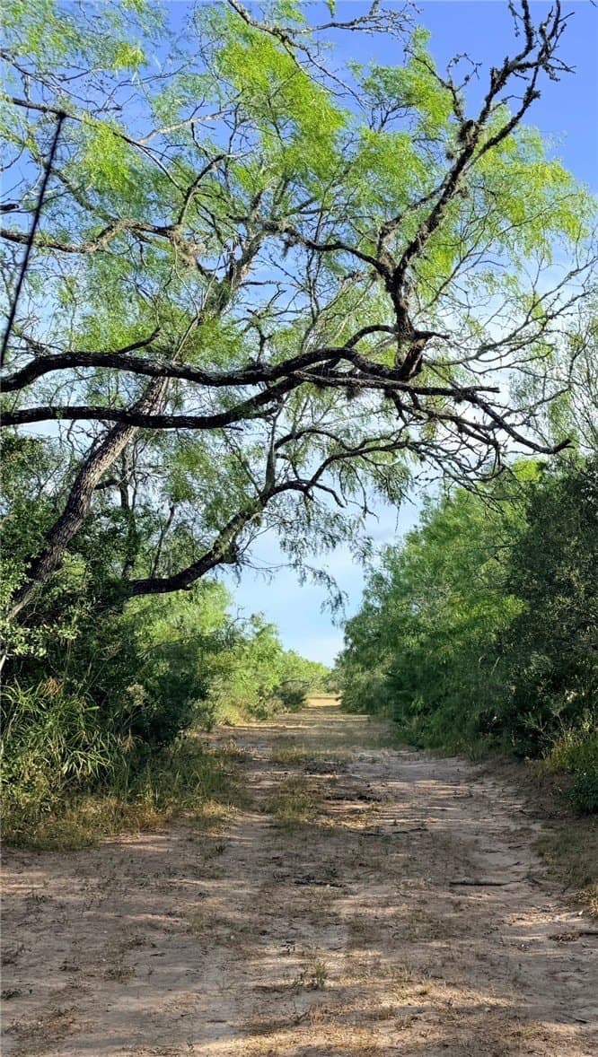 27 acres in Duval County - photo 3