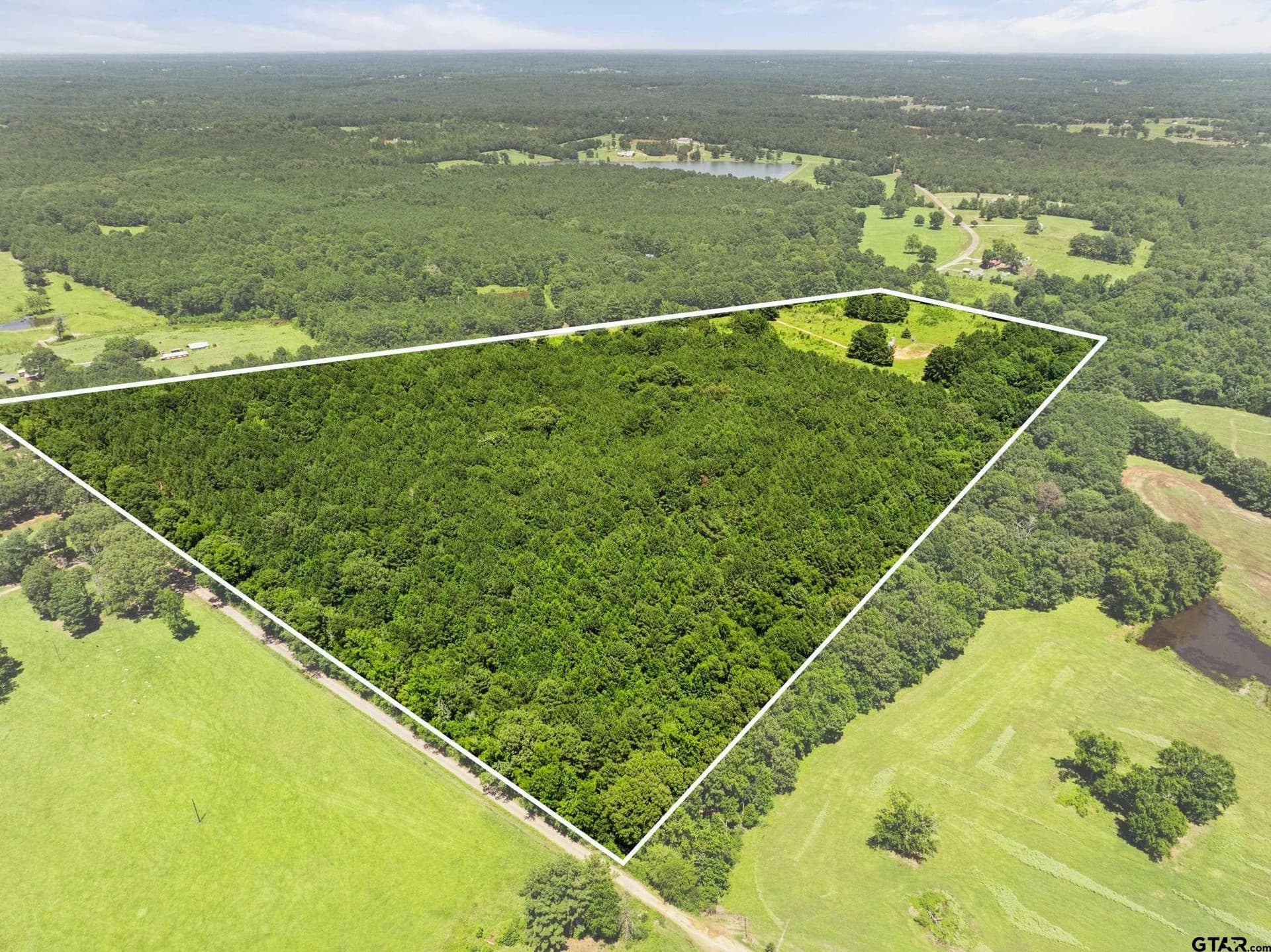 62.14 acres in Smith County gallery image 3