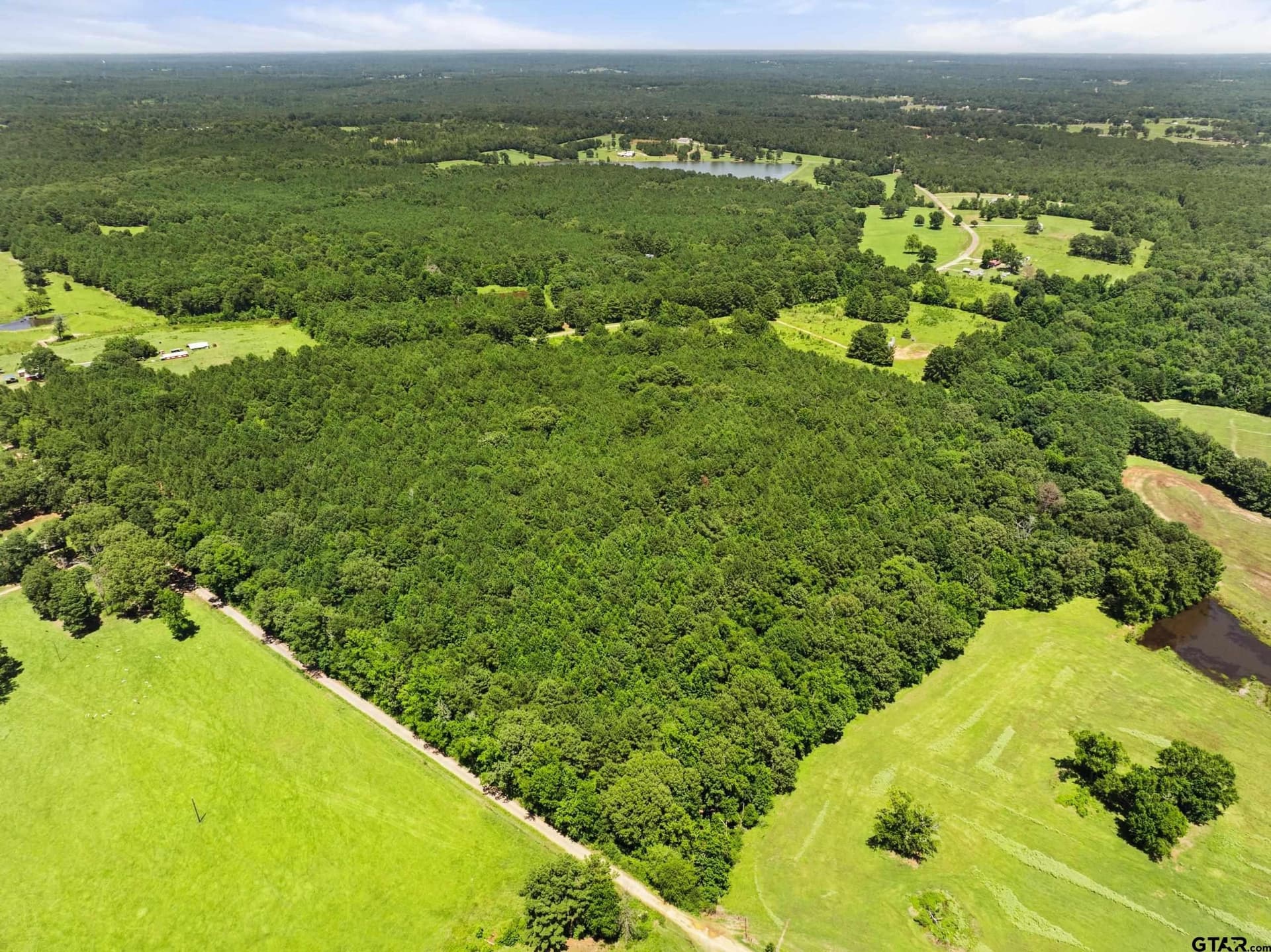 62.14 acres in Smith County gallery image 4