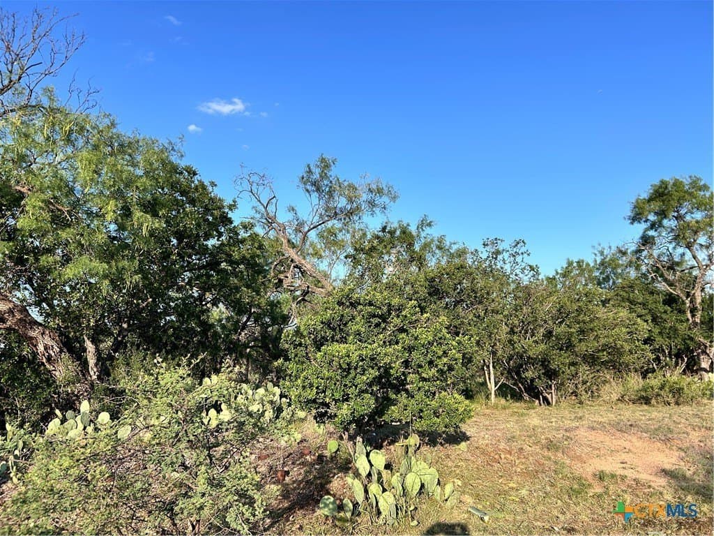 0.15 acres in Llano County gallery image 3