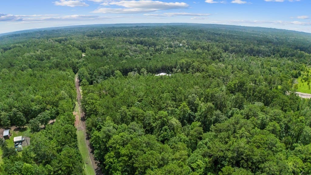 3.39 acres in Texas County gallery image 4