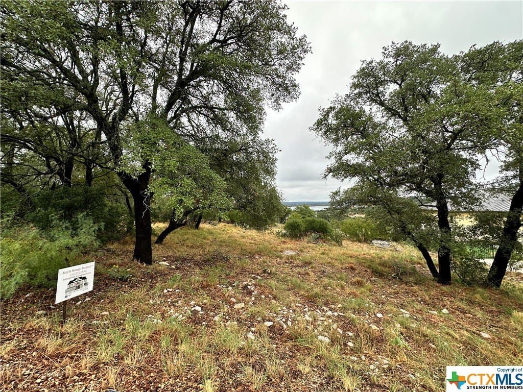 0.25 acres in Texas County - photo 10