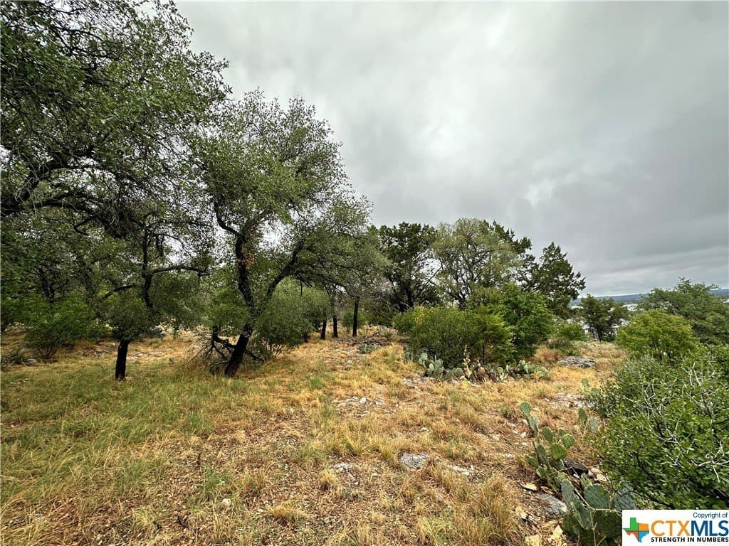 0.25 acres in Texas County - photo 5