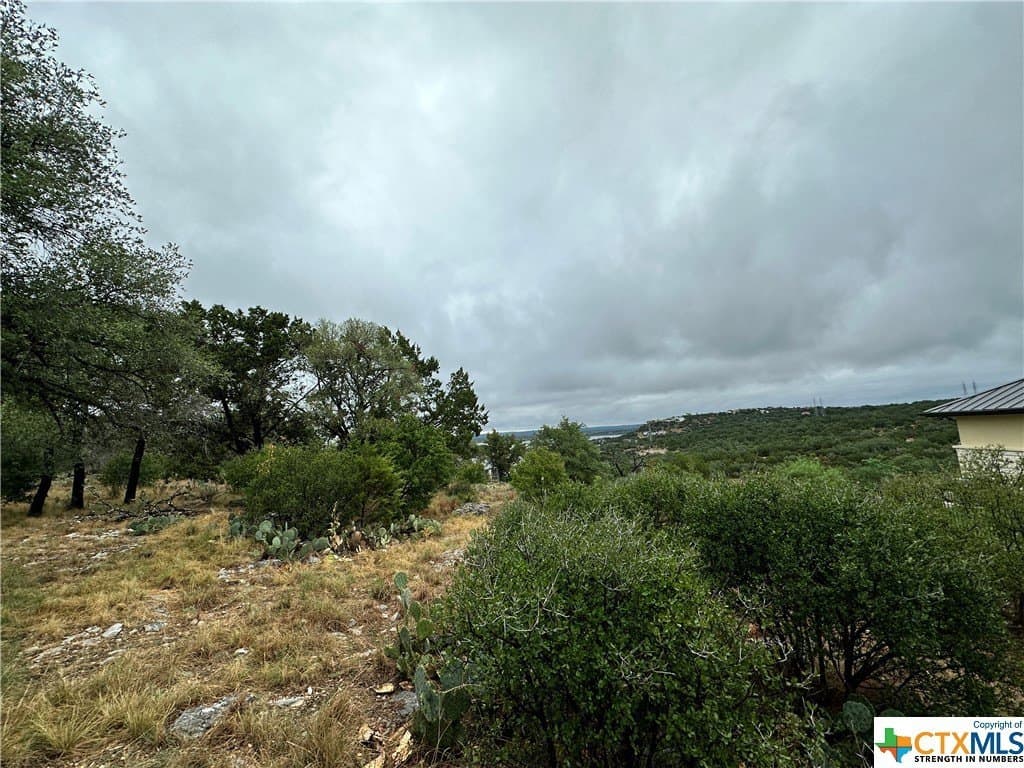 0.25 acres in Texas County - photo 4