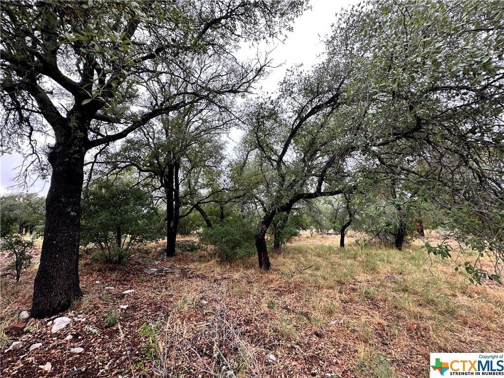 0.25 acres in Texas County - photo 2