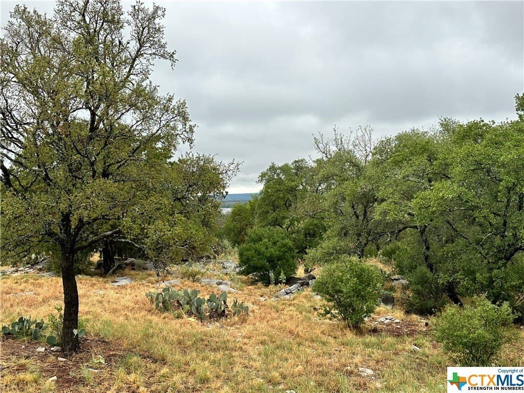 0.25 acres in Texas County - photo 11