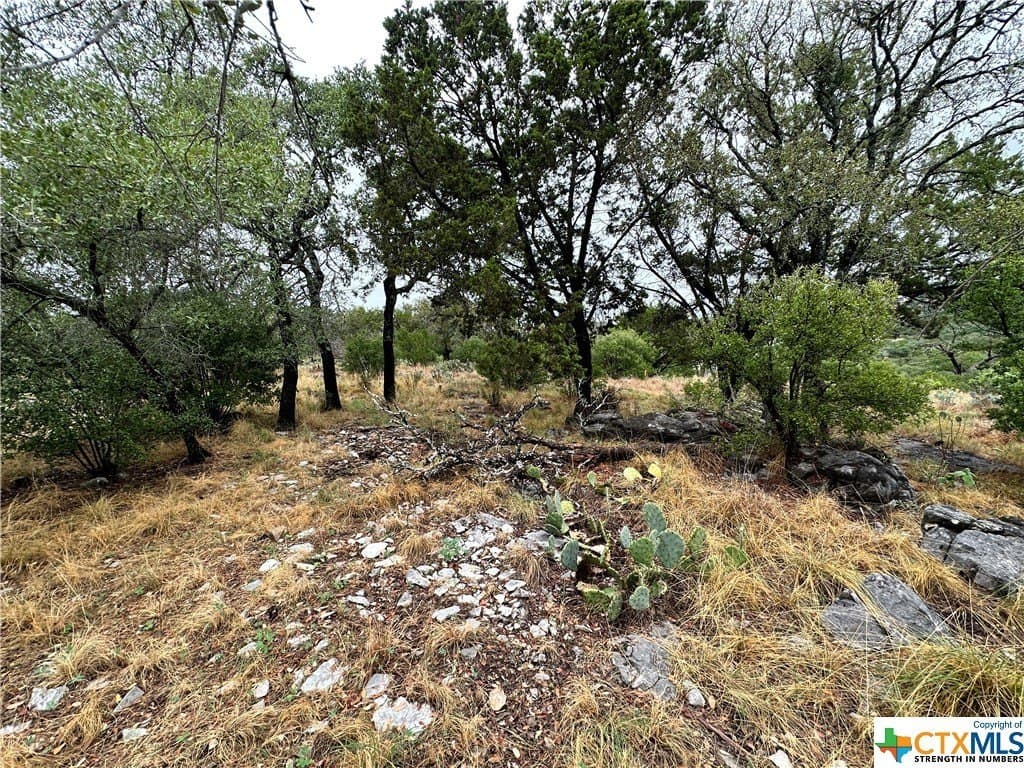 0.25 acres in Texas County - photo 9
