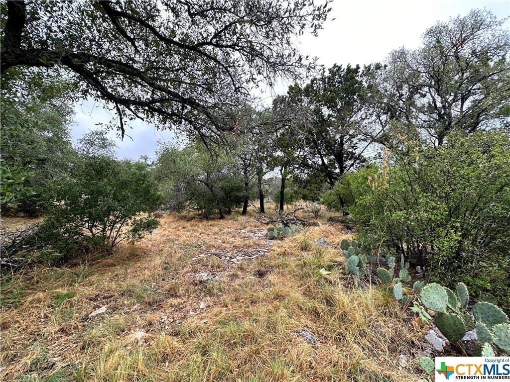0.25 acres in Texas County - photo 8