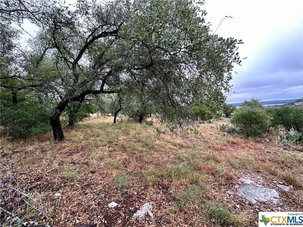 0.25 acres in Texas County - photo 3
