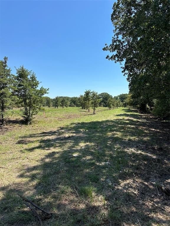 29.93 acres in Limestone County gallery image 3