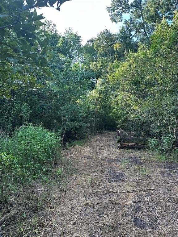 29.93 acres in Limestone County