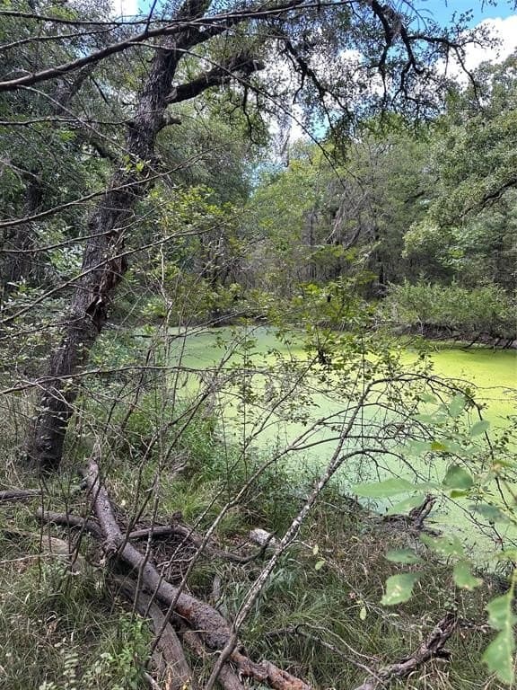 29.93 acres in Limestone County gallery image 2