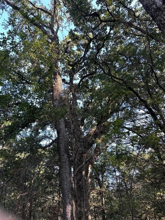 29.93 acres in Limestone County featured view