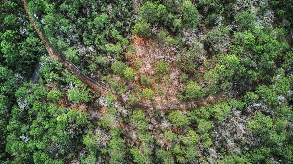 0.36 acres in Texas County gallery image 4