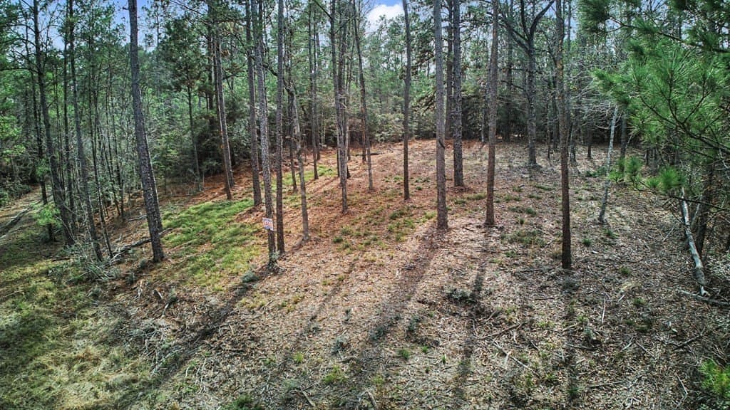 0.36 acres in Texas County featured view