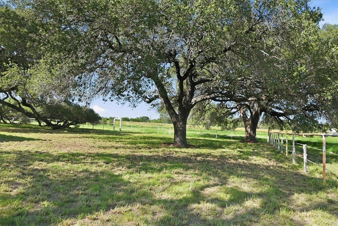 10.93 acres in Live Oak County - photo 33