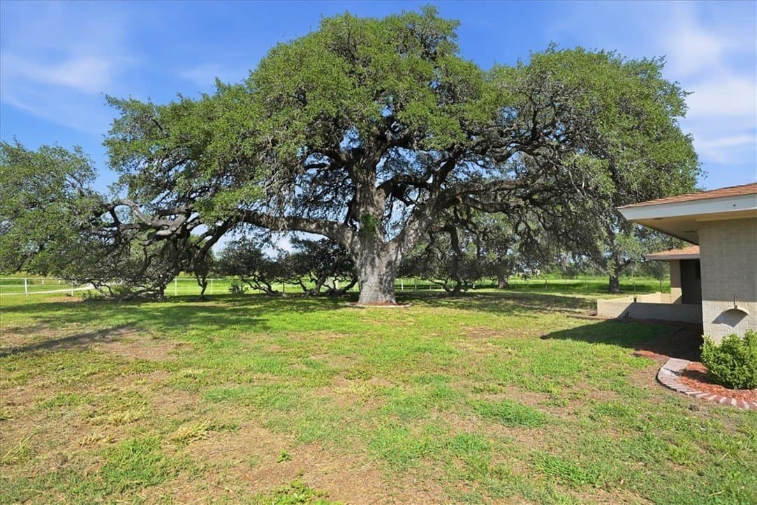 10.93 acres in Live Oak County - photo 31