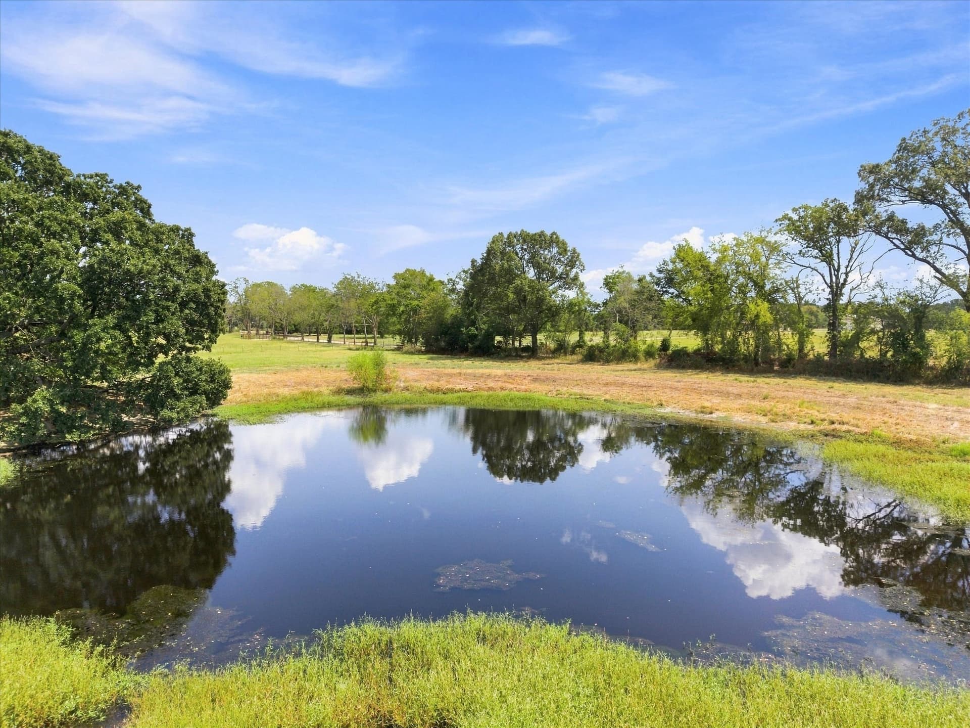 18.97 acres in Rains County - photo 2