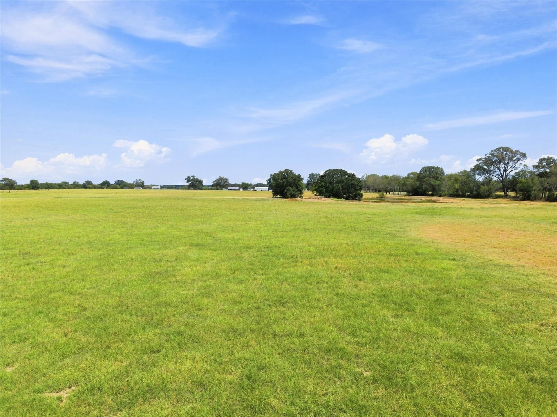 18.97 acres in Rains County - photo 6