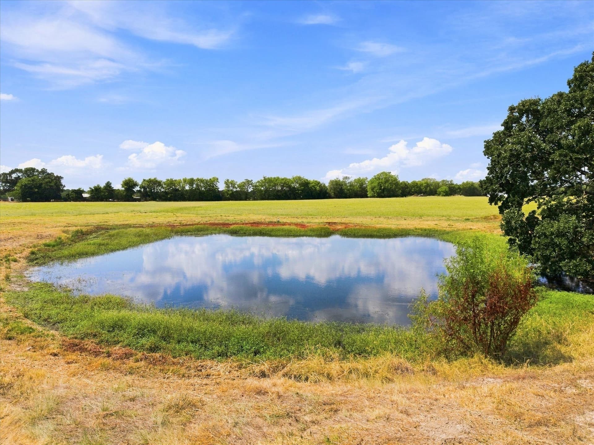 18.97 acres in Rains County - photo 13