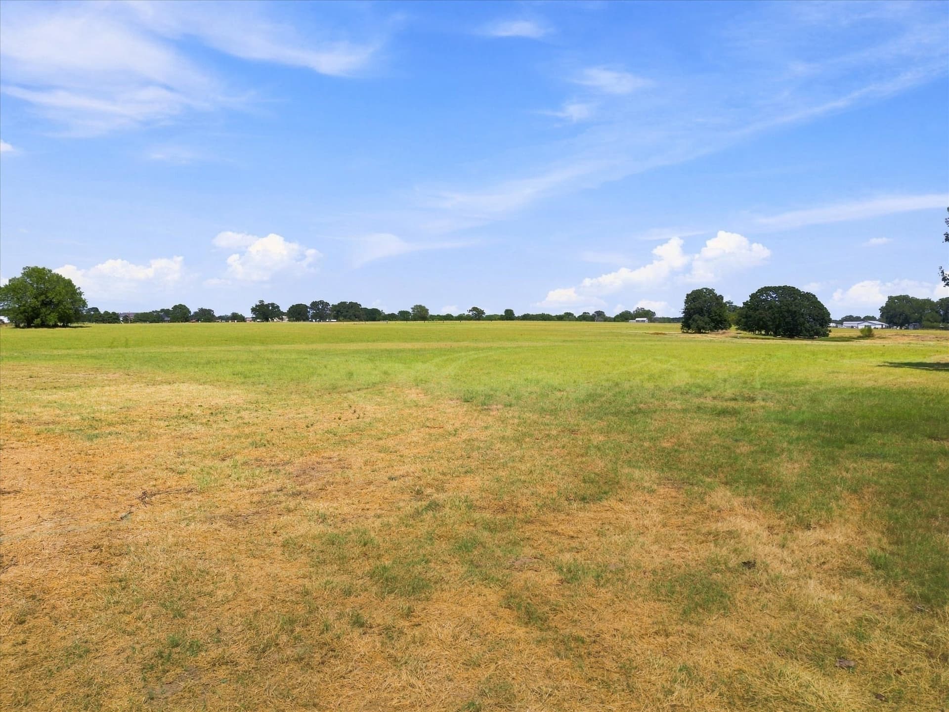 18.97 acres in Rains County - photo 5