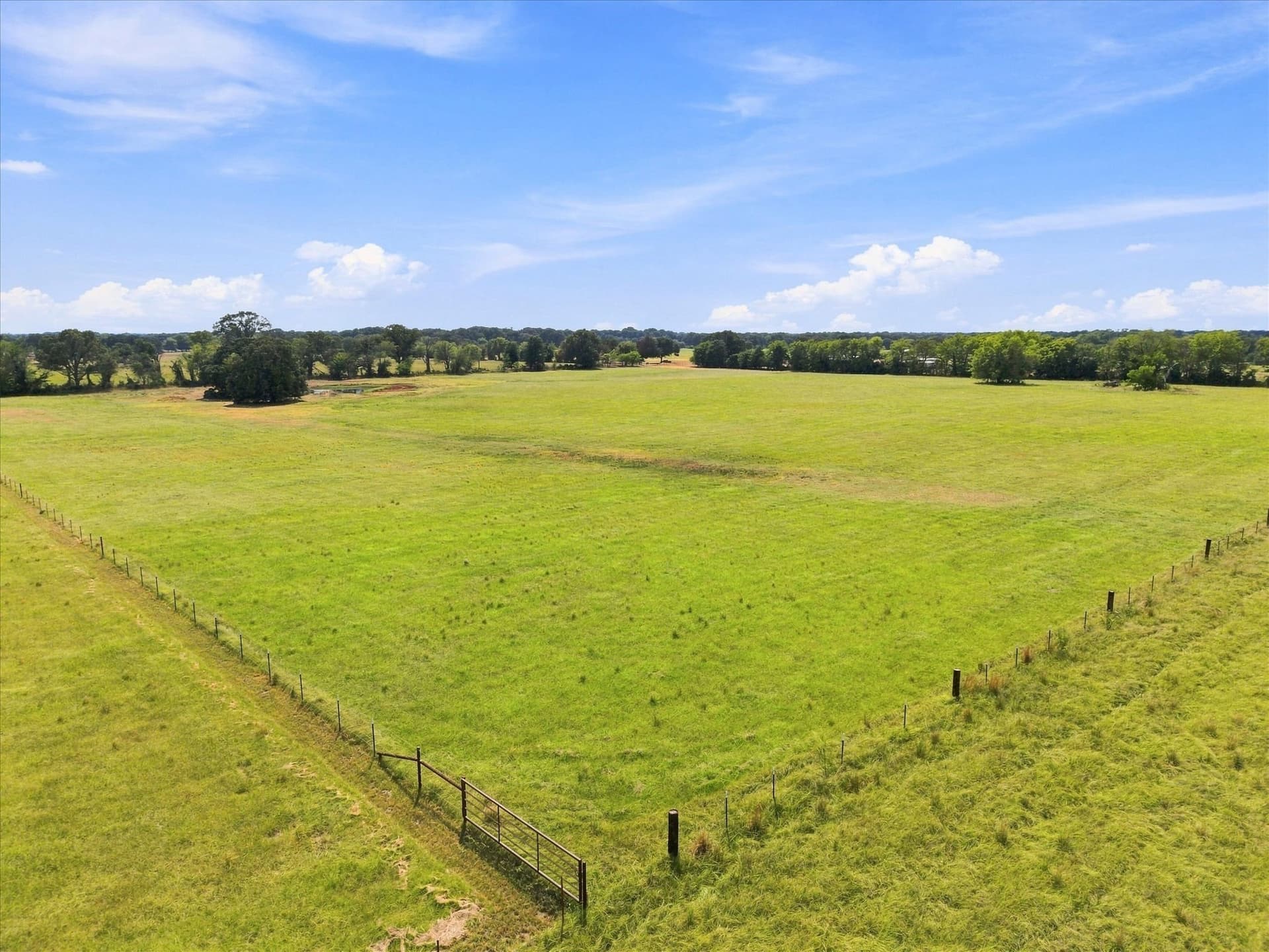 18.97 acres in Rains County - photo 7