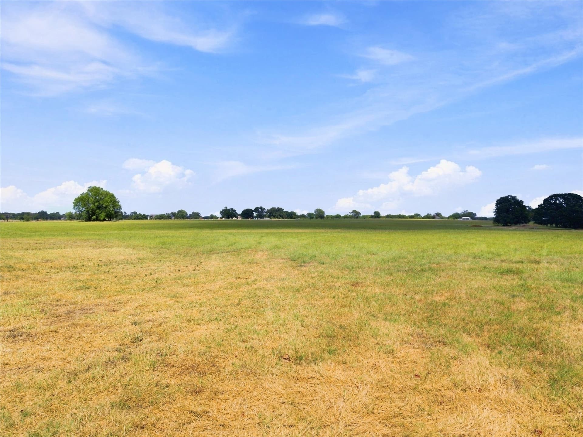 18.97 acres in Rains County - photo 8