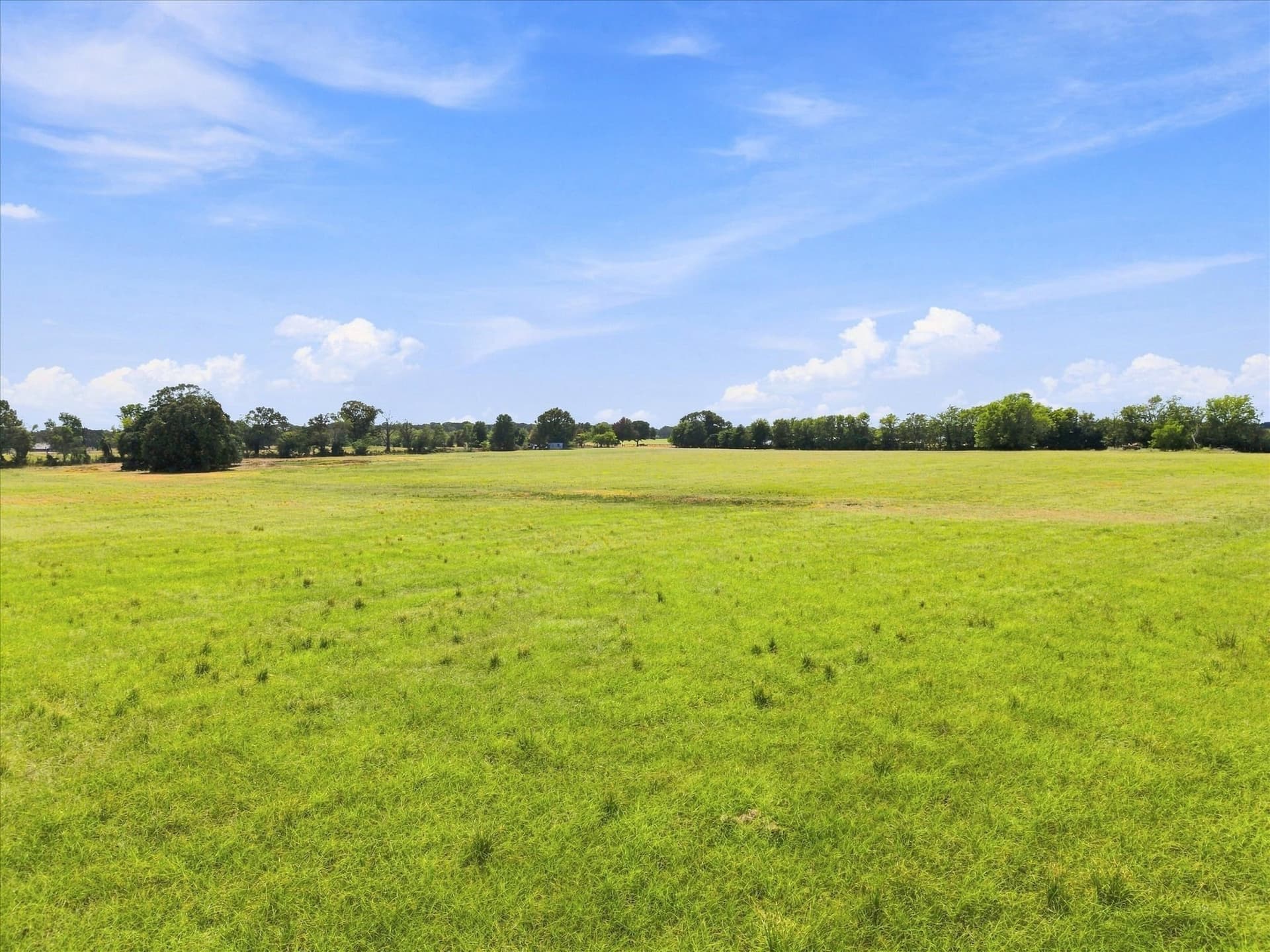 18.97 acres in Rains County - photo 11