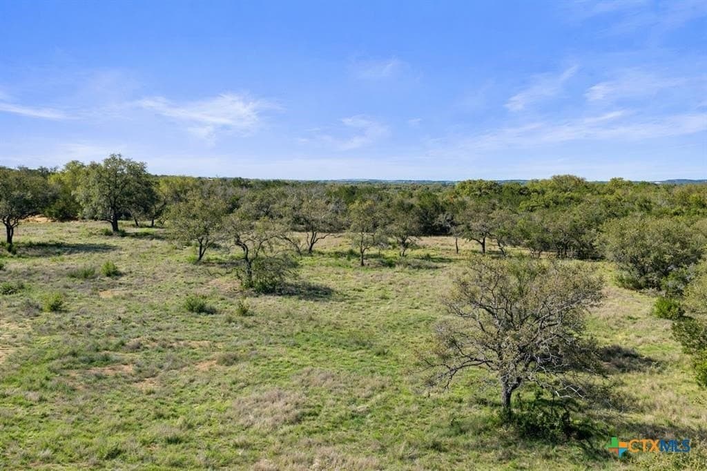 6 acres in Blanco County - photo 7