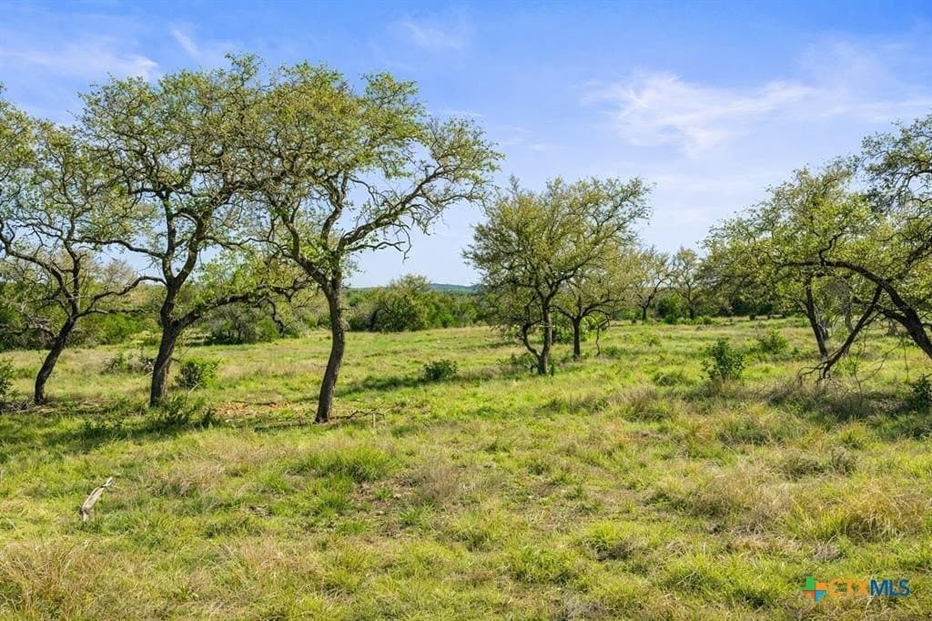 6 acres in Blanco County - photo 6