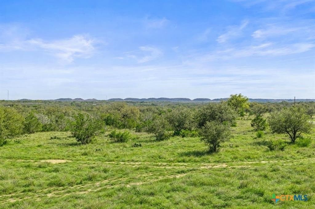 6 acres in Blanco County - photo 8