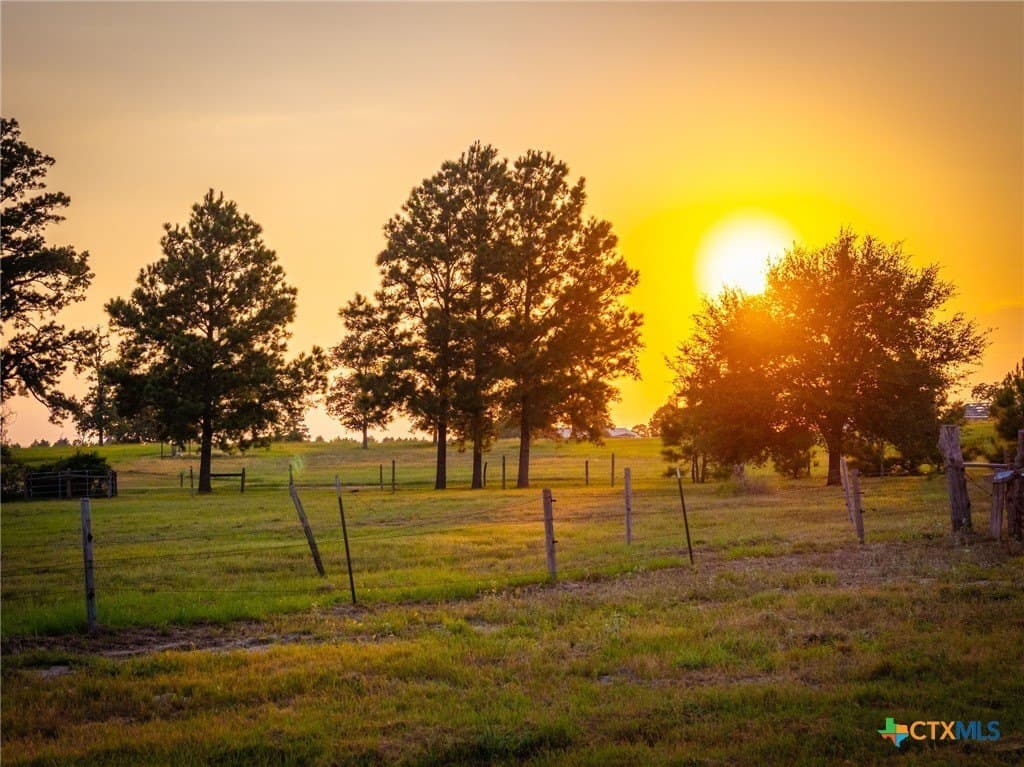 65 acres in Colorado County - photo 42