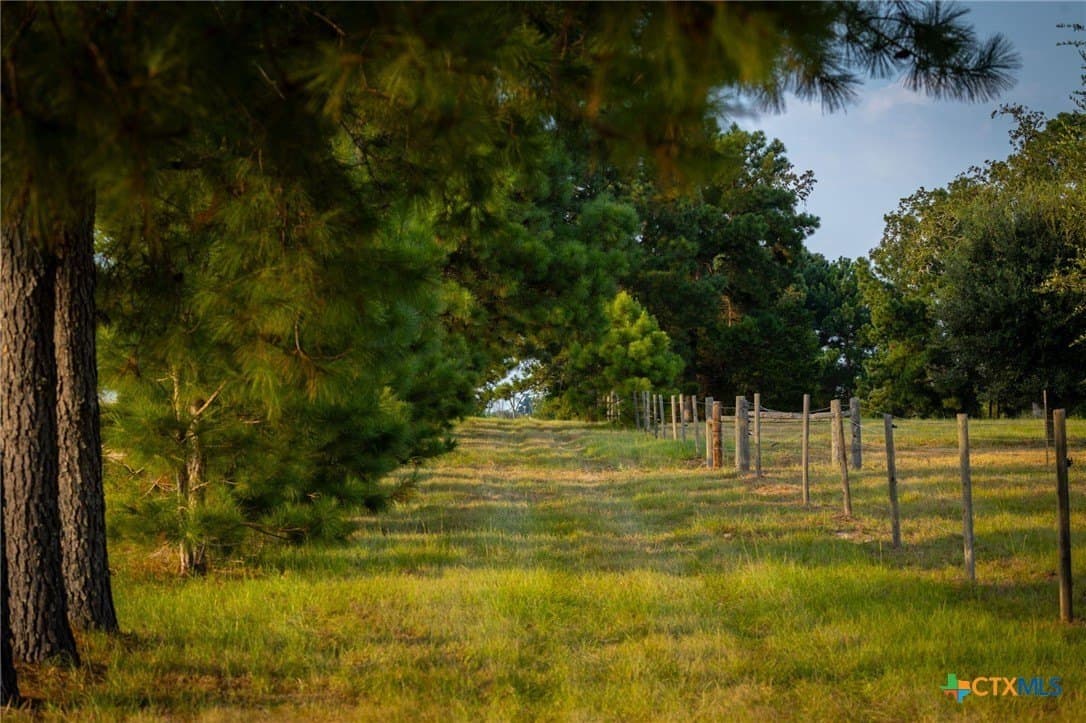 65 acres in Colorado County - photo 31