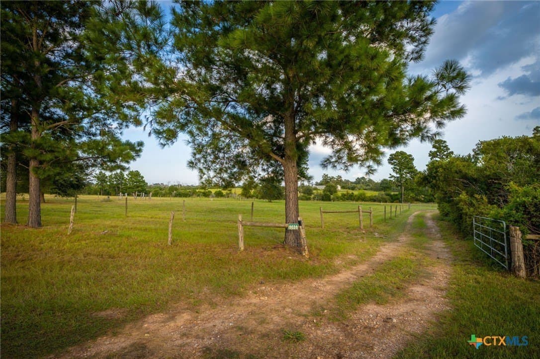 65 acres in Colorado County - photo 40