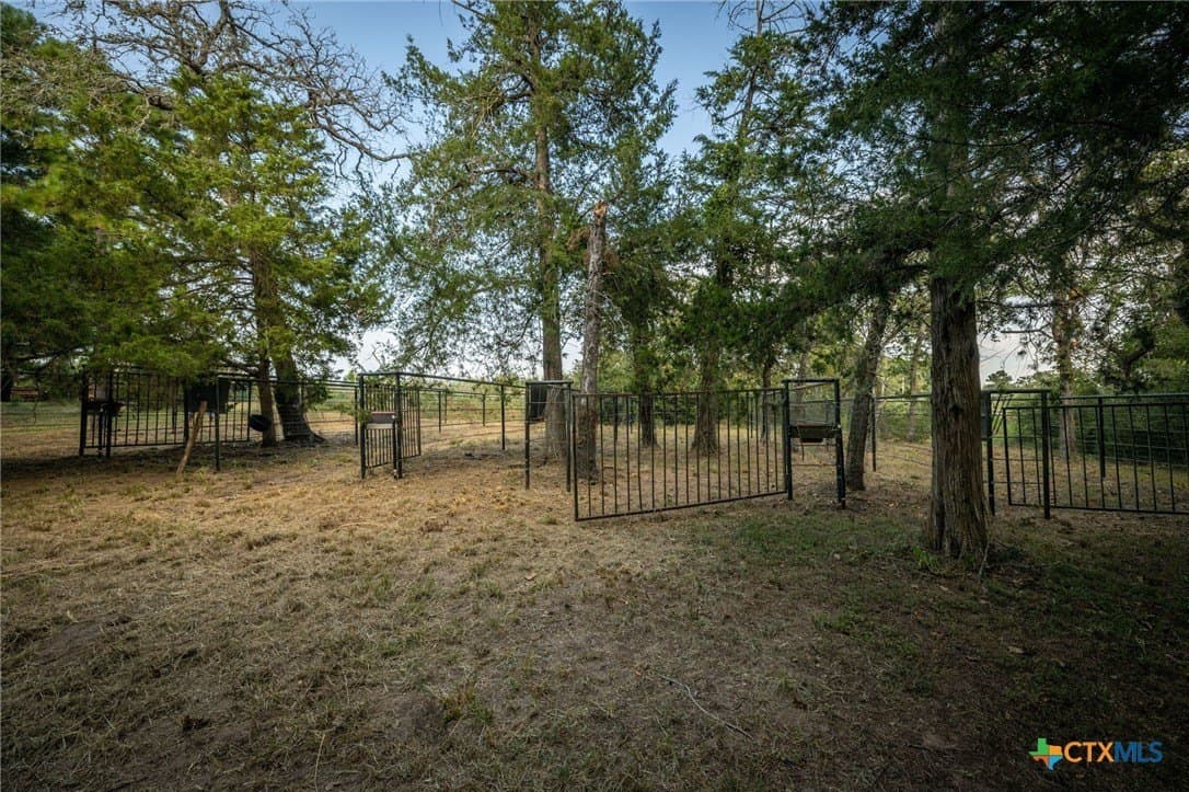 65 acres in Colorado County - photo 32